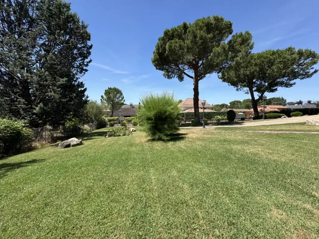 Jardín de Casa o chalet en venta en Algete