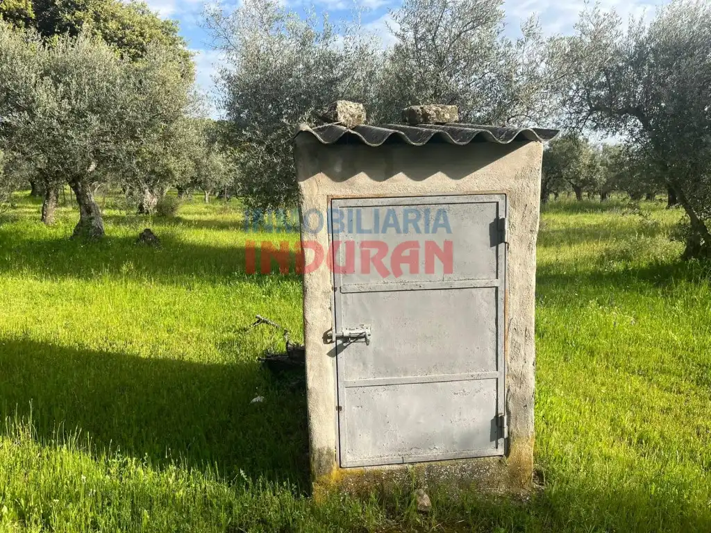 Finca rústica en venta en Millanes