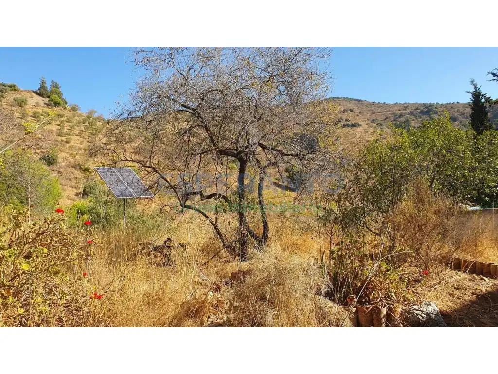 Casa rústica amb jardí en venda a Arroyo Jaboneros, imagen 50