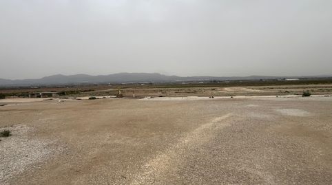 Foto 3 de Residencial en venta en San Felipe Neri, Crevillent, Alicante