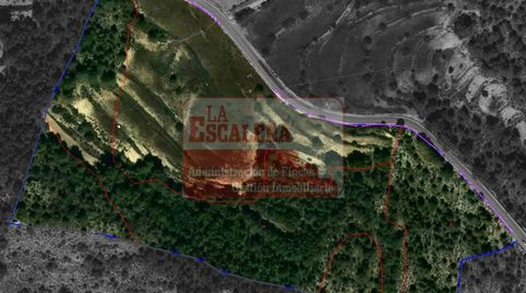 TERRENO APTO PARA CONSTRUIR., immagine 3