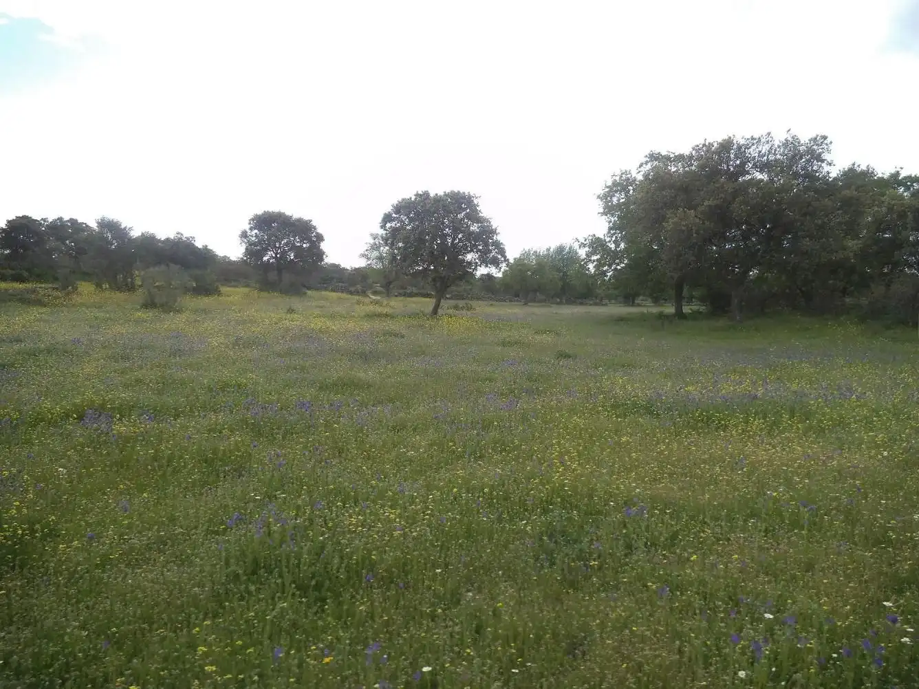 Residencial en venda en Valdemorillo
