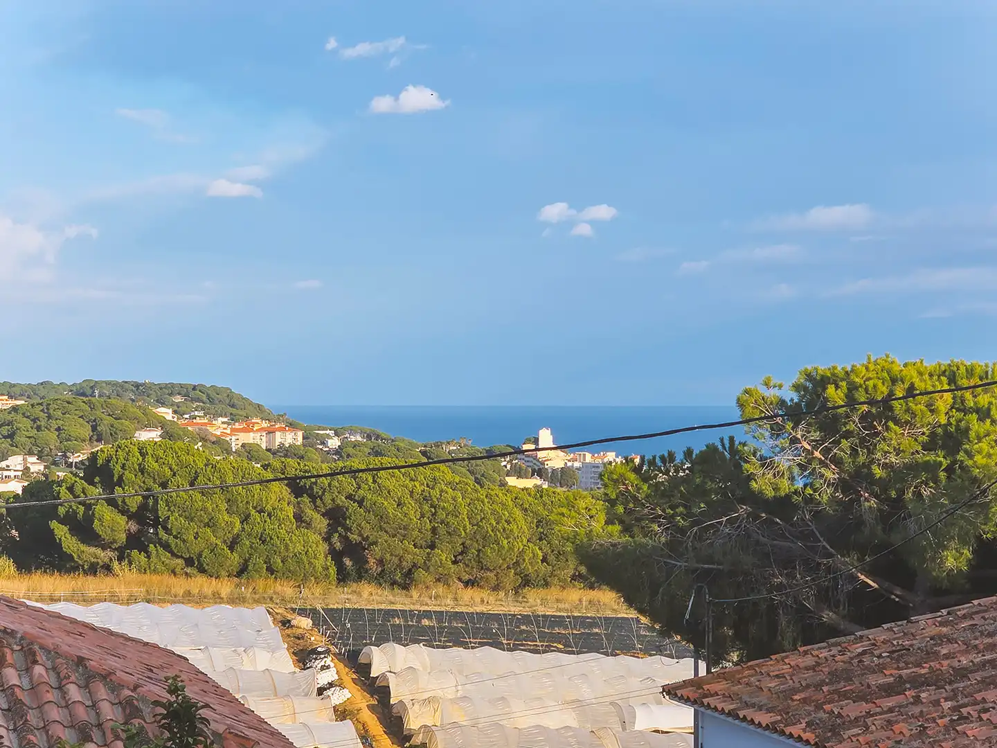 Vista exterior de Casa o chalet en venta en Sant Pol de Mar con Calefacción, Jardín privado y Terraza