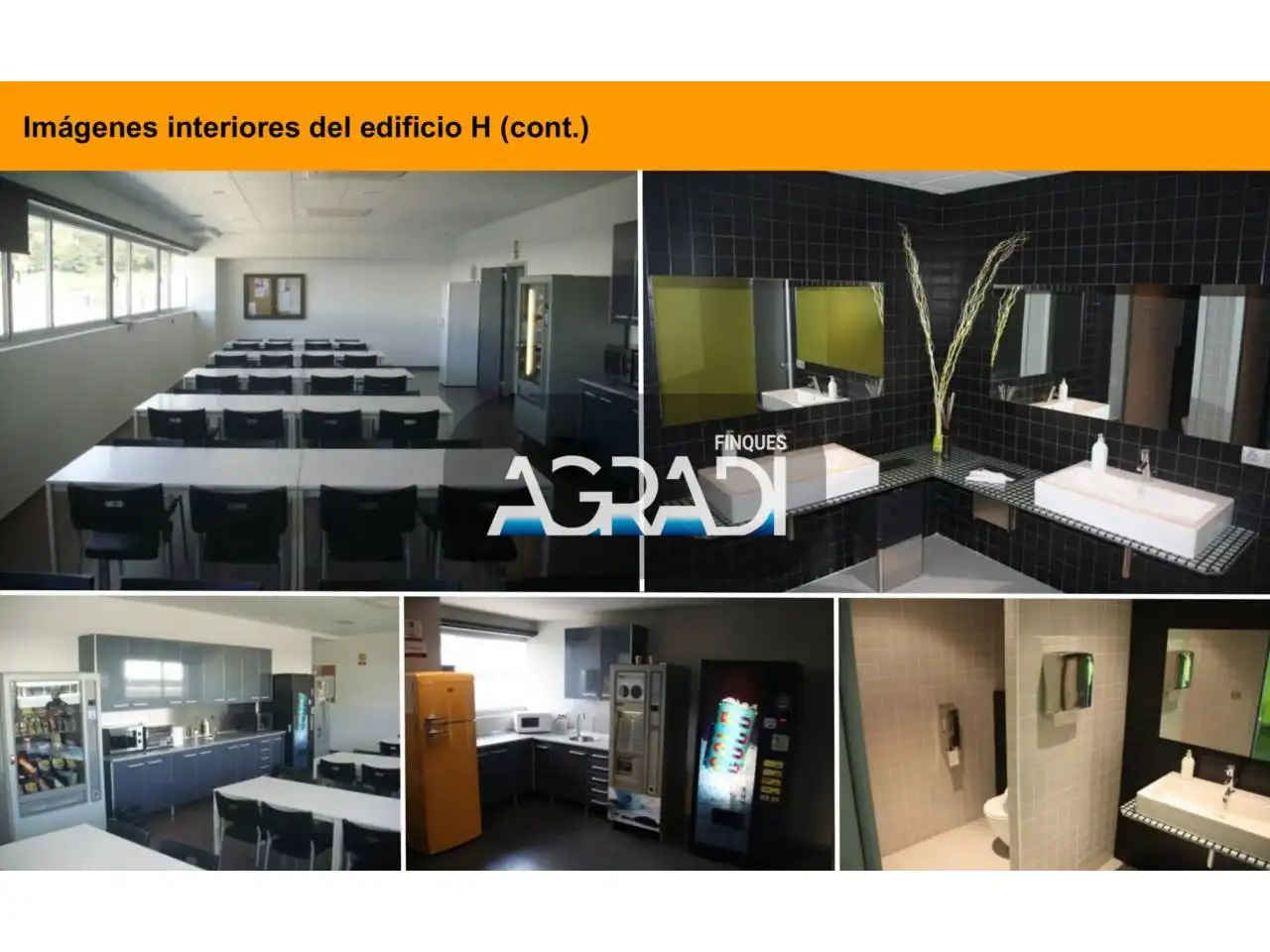 Nau industrial amb ascensor de lloguer a quimica, imagen 6