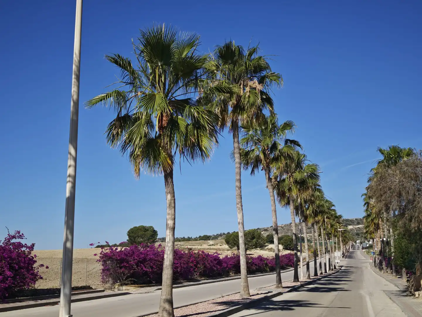 Maison à vendre à Algorfa, imagen 32