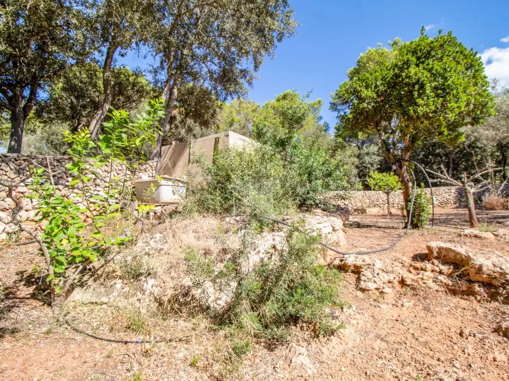Finca rústica en venda en Es Mercadal amb Jardí privat