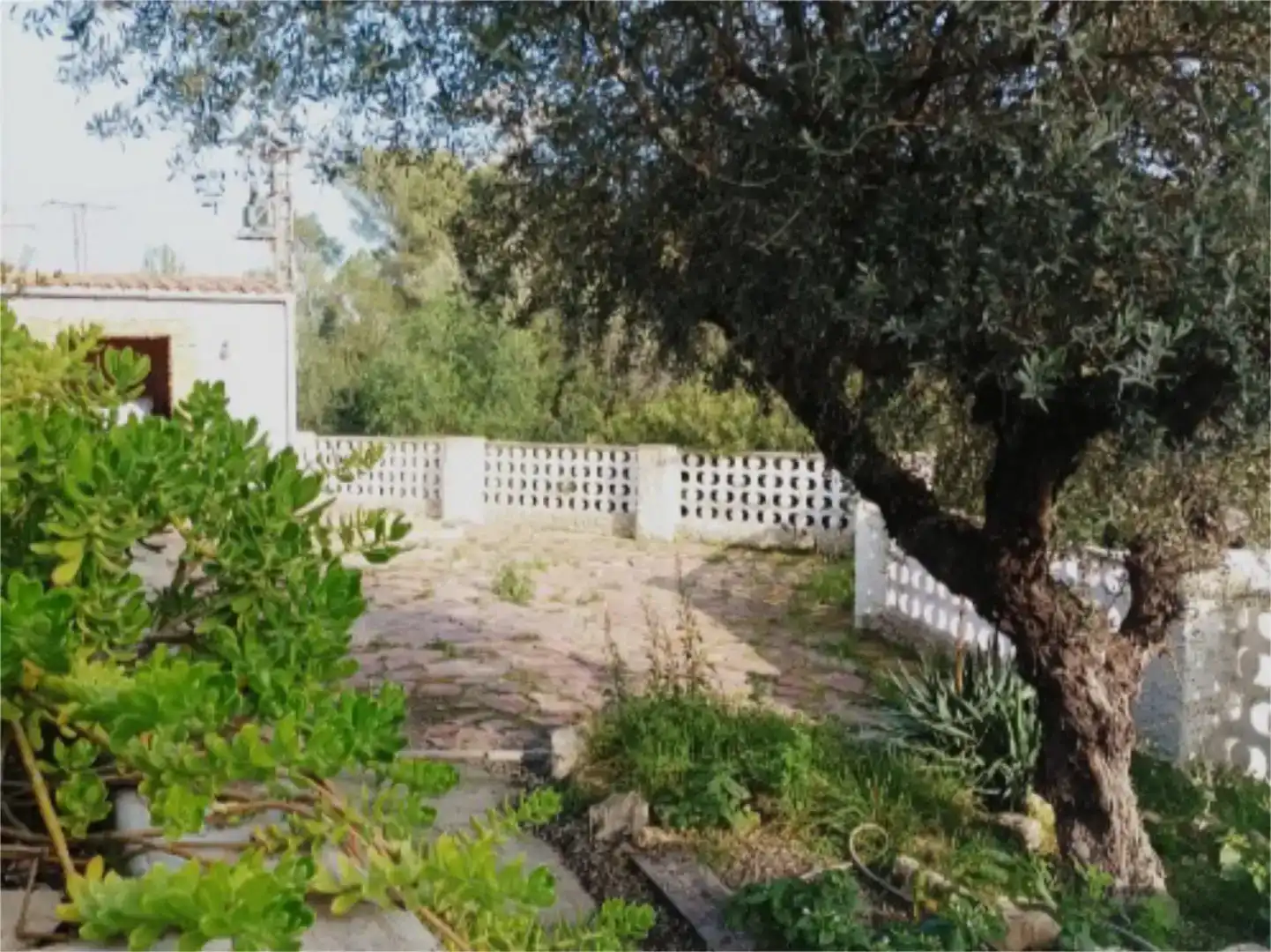 Jardí de Pis en venda en L'Alcora amb Jardí privat, Traster i Piscina