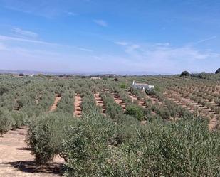 Country house for sale in Antequera  with Private garden and Storage room