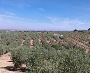 Finca rústica en venda en Antequera amb Jardí privat i Traster