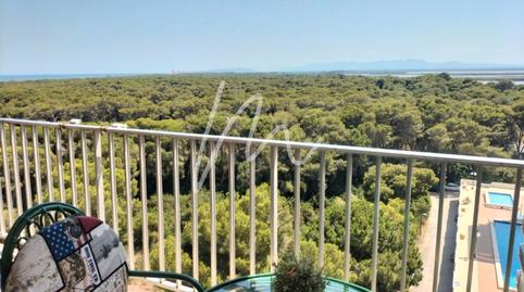 Photo 2 of Flat to rent in Avenida Gola del Puchol, El Saler,  Valencia Capital