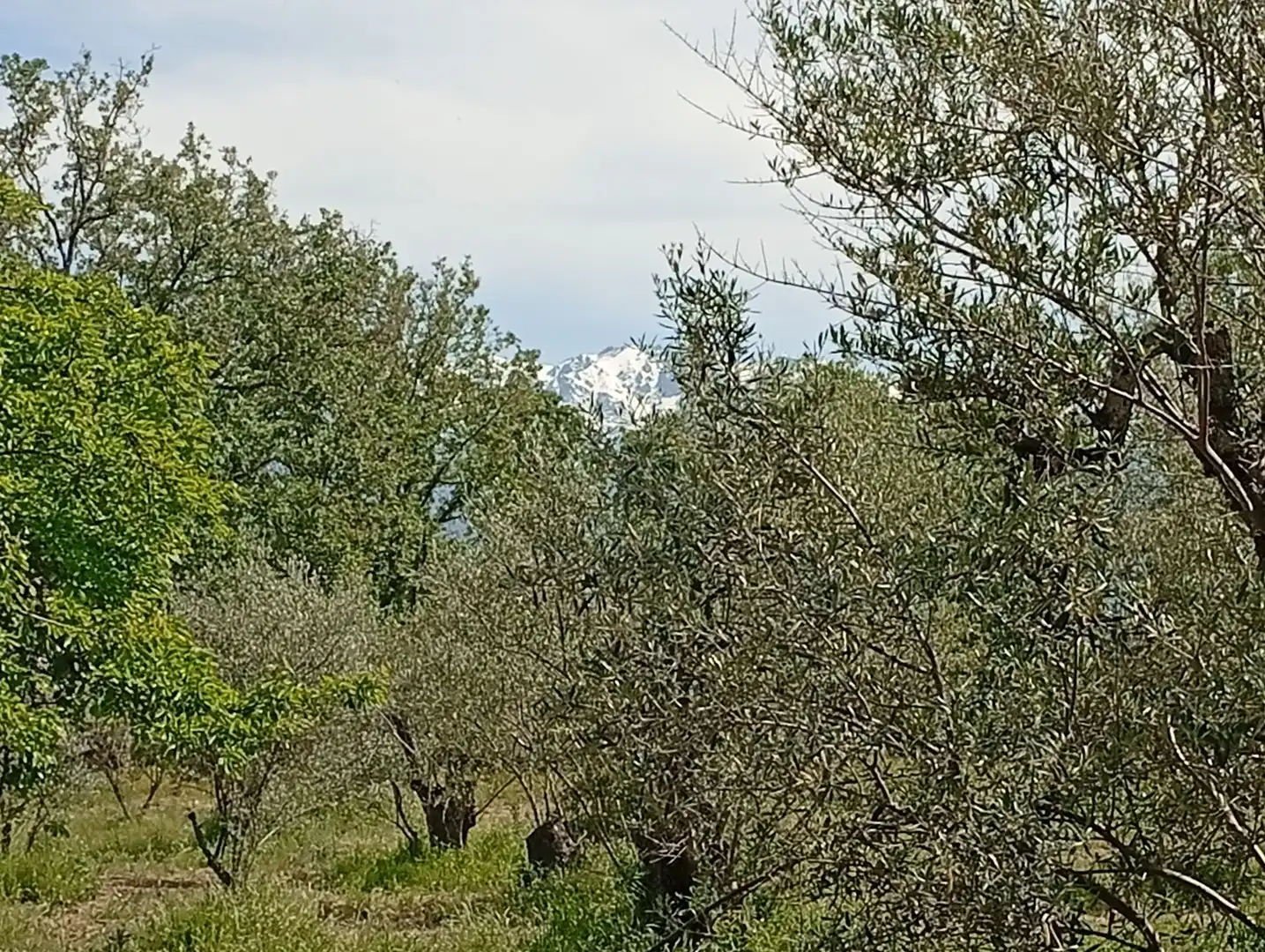 Terreni e lotti in vendita a Villanueva de la Vera, imagen 51
