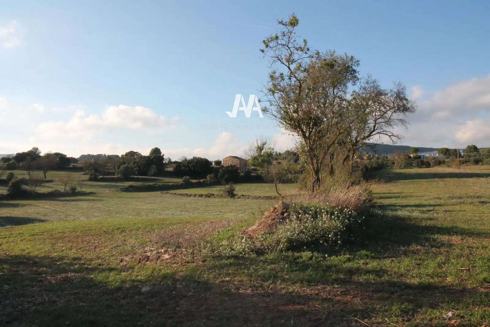 Xalet amb jardí en venda a Jorba, imagen 2