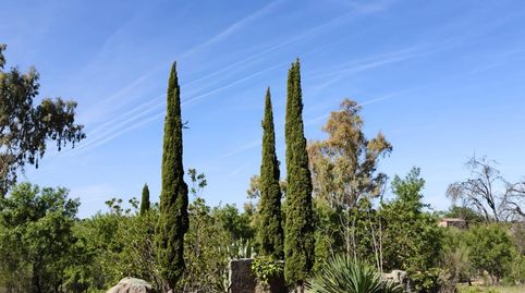 Photo 4 of Residential for sale in Cerro Palos Poligono 45 Parcela 63, Los Cigarrales-La Bastida, Toledo Capital
