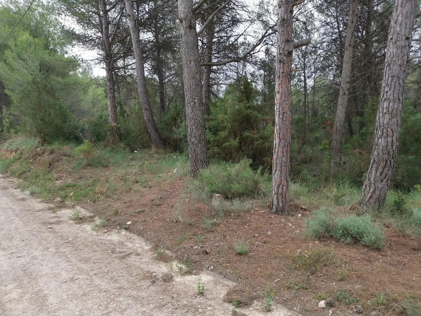 Residencial en venda en El Montmell