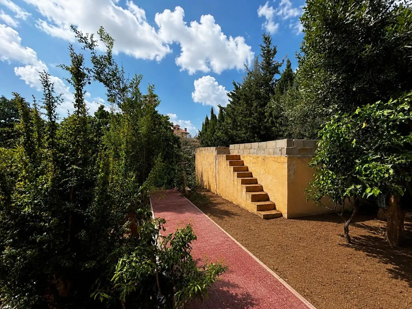 Jardí de Casa o xalet en venda en  Palma de Mallorca amb Jardí privat i Moblat