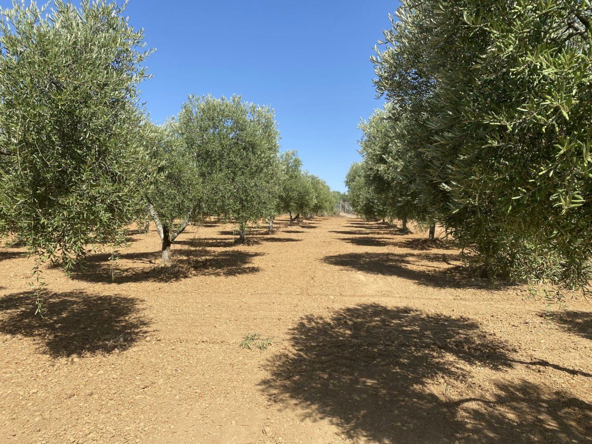 Country house for sale in Gibraleón