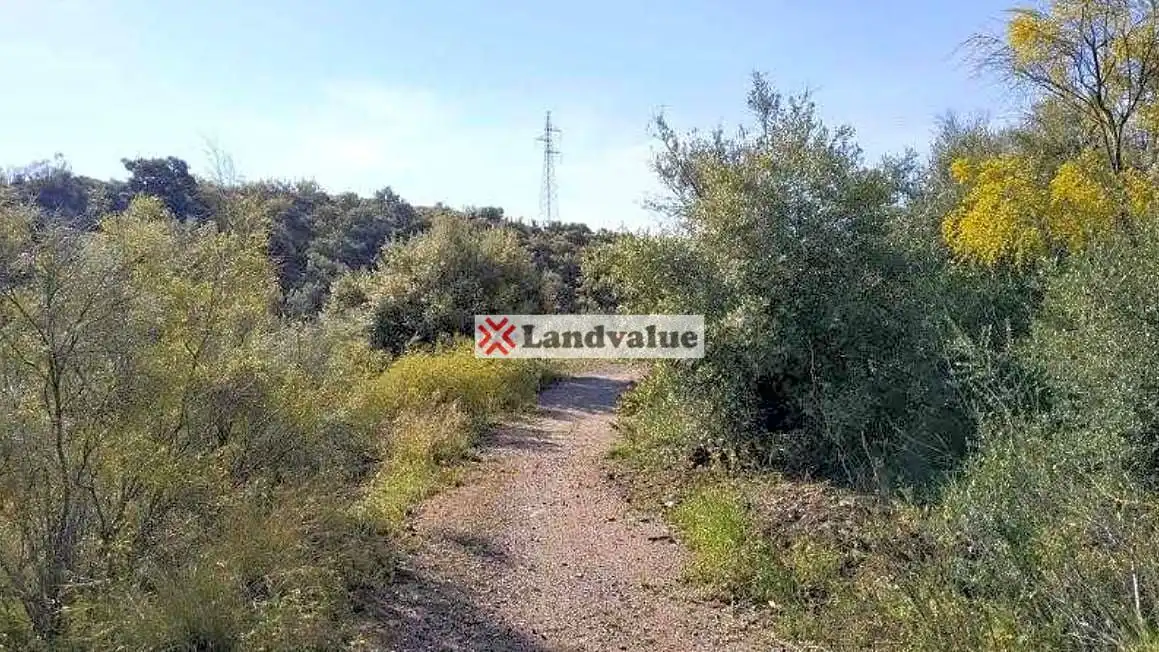 Wohnbaugrundstück zum Verkauf in Lo Cea, imagen 8