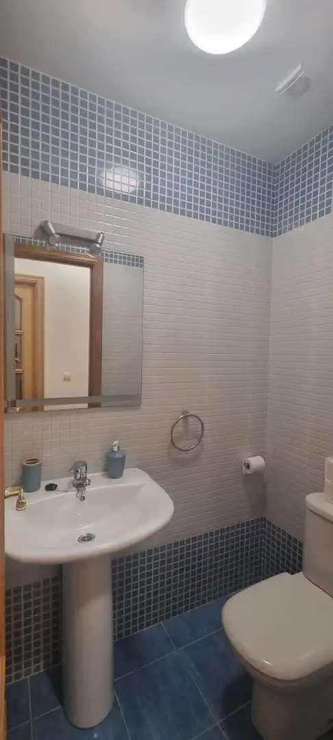 Bathroom of Flat for rent in Gerindote  with Air Conditioner, Heating and Furnished