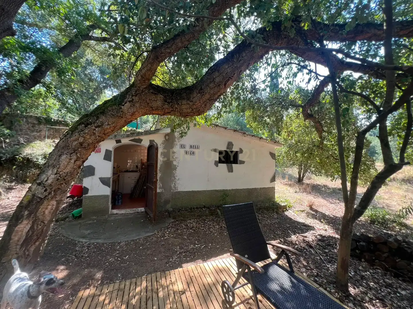 Garden of Flat for sale in Sant Celoni