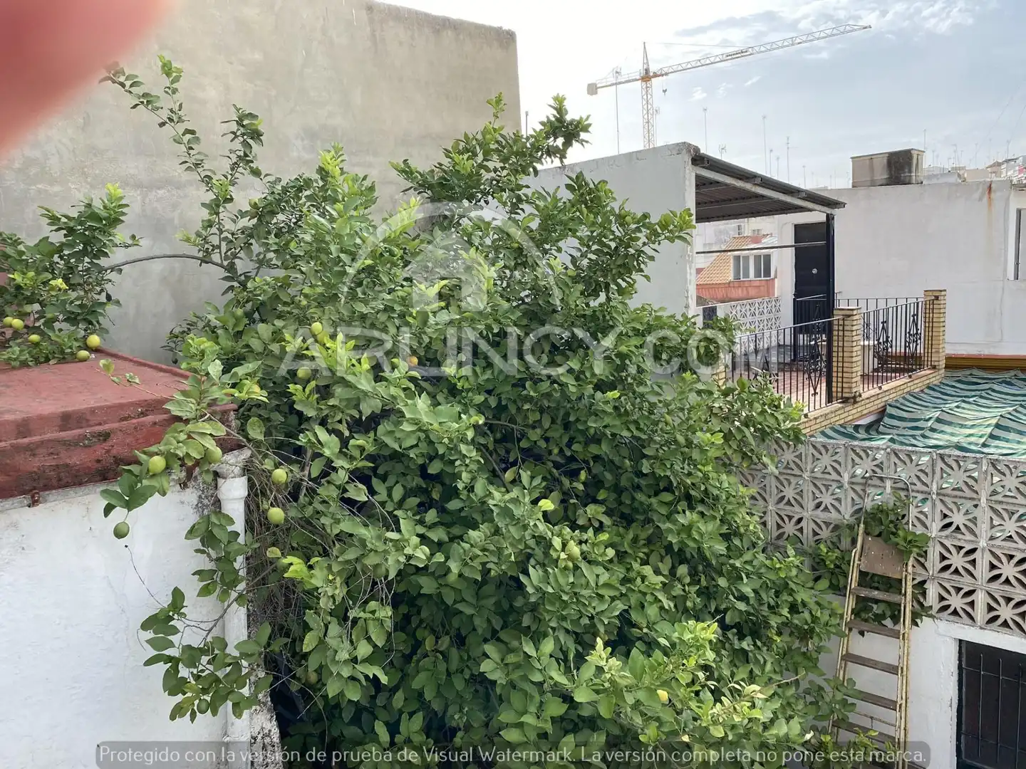 Maison à vendre à Centro, imagen 6