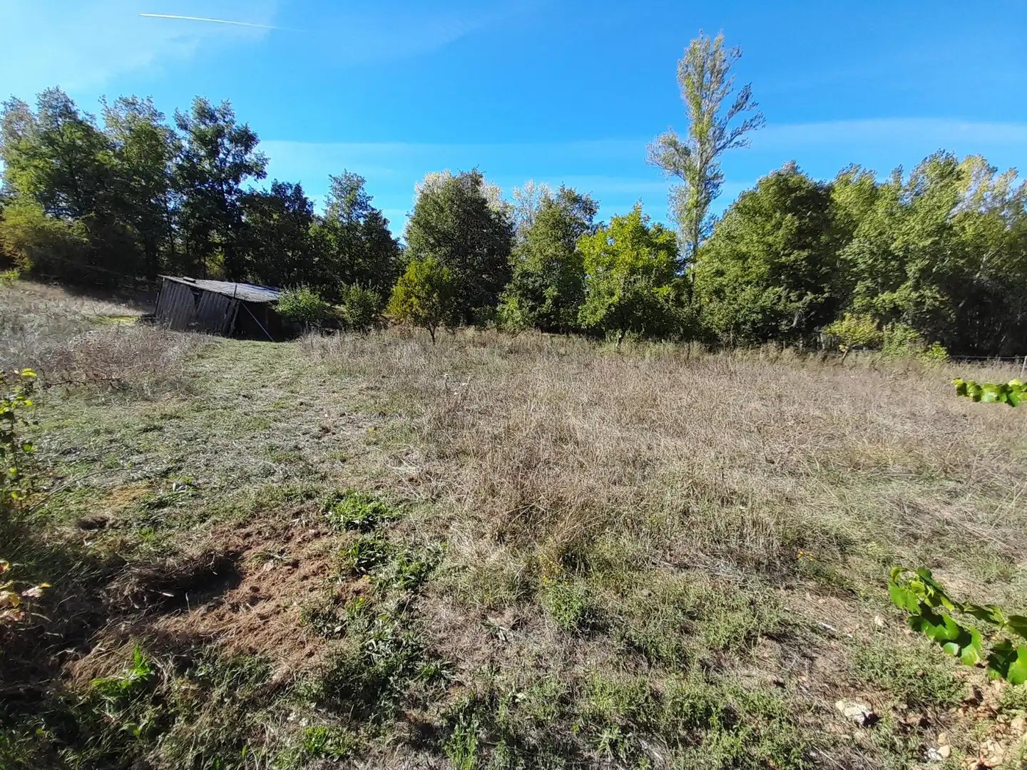 Country homes for sale in Castropodame, León