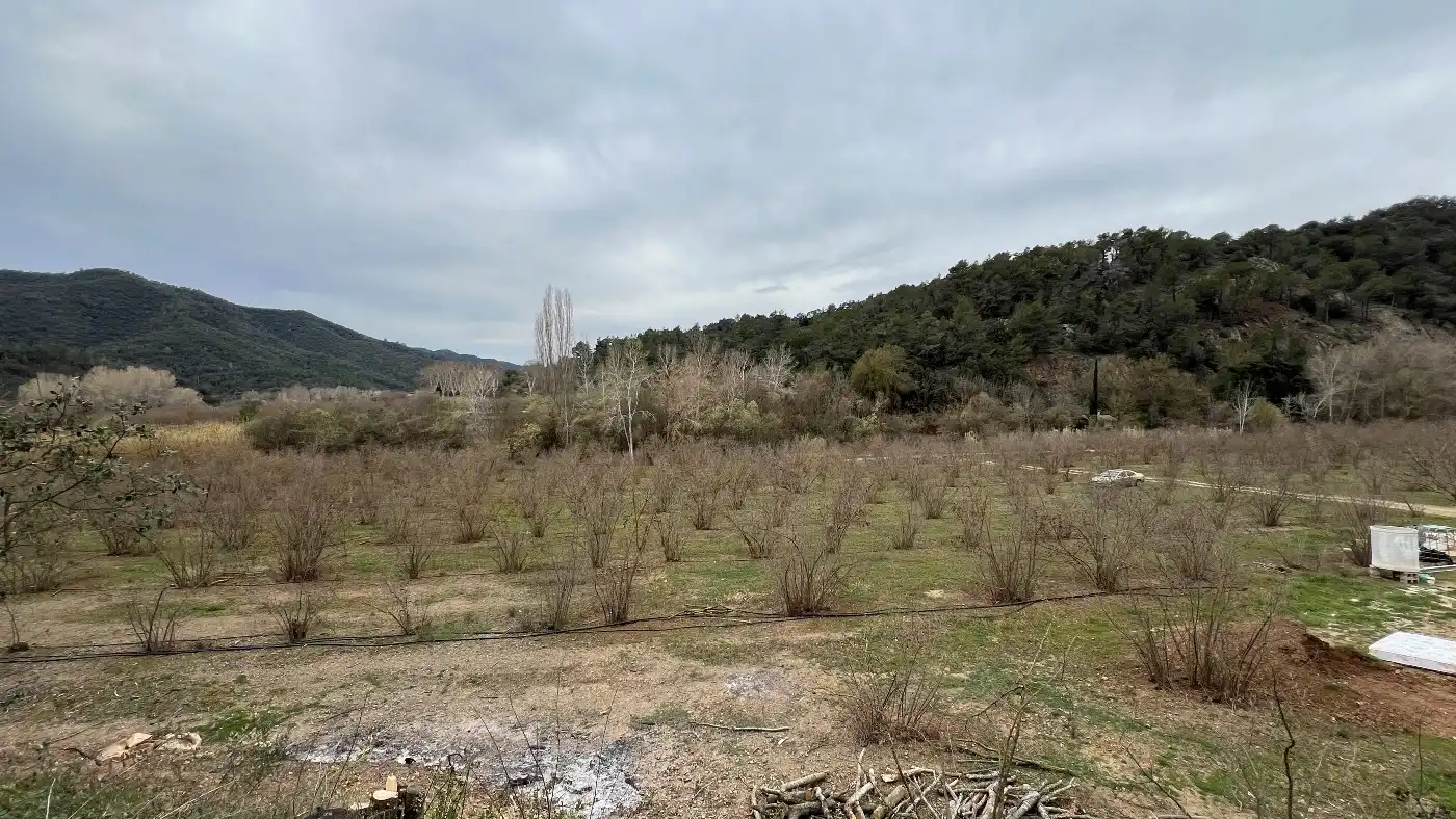 Casa o chalet en venta en C-242, 48, Cornudella de Montsant