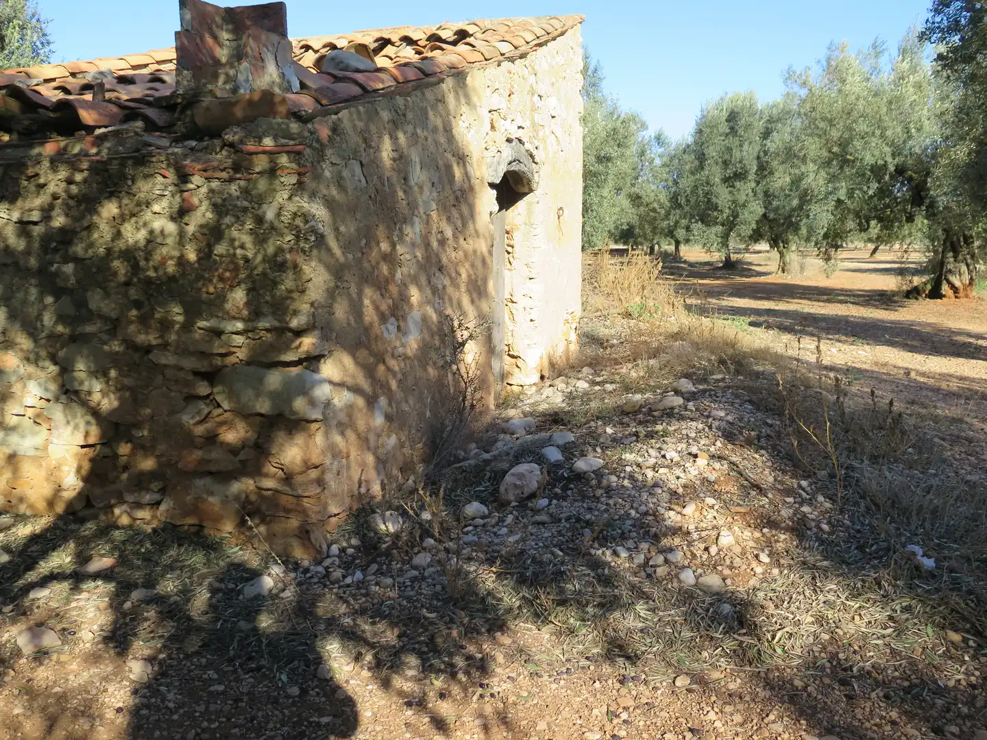 Terreno en venta en Ulldecona