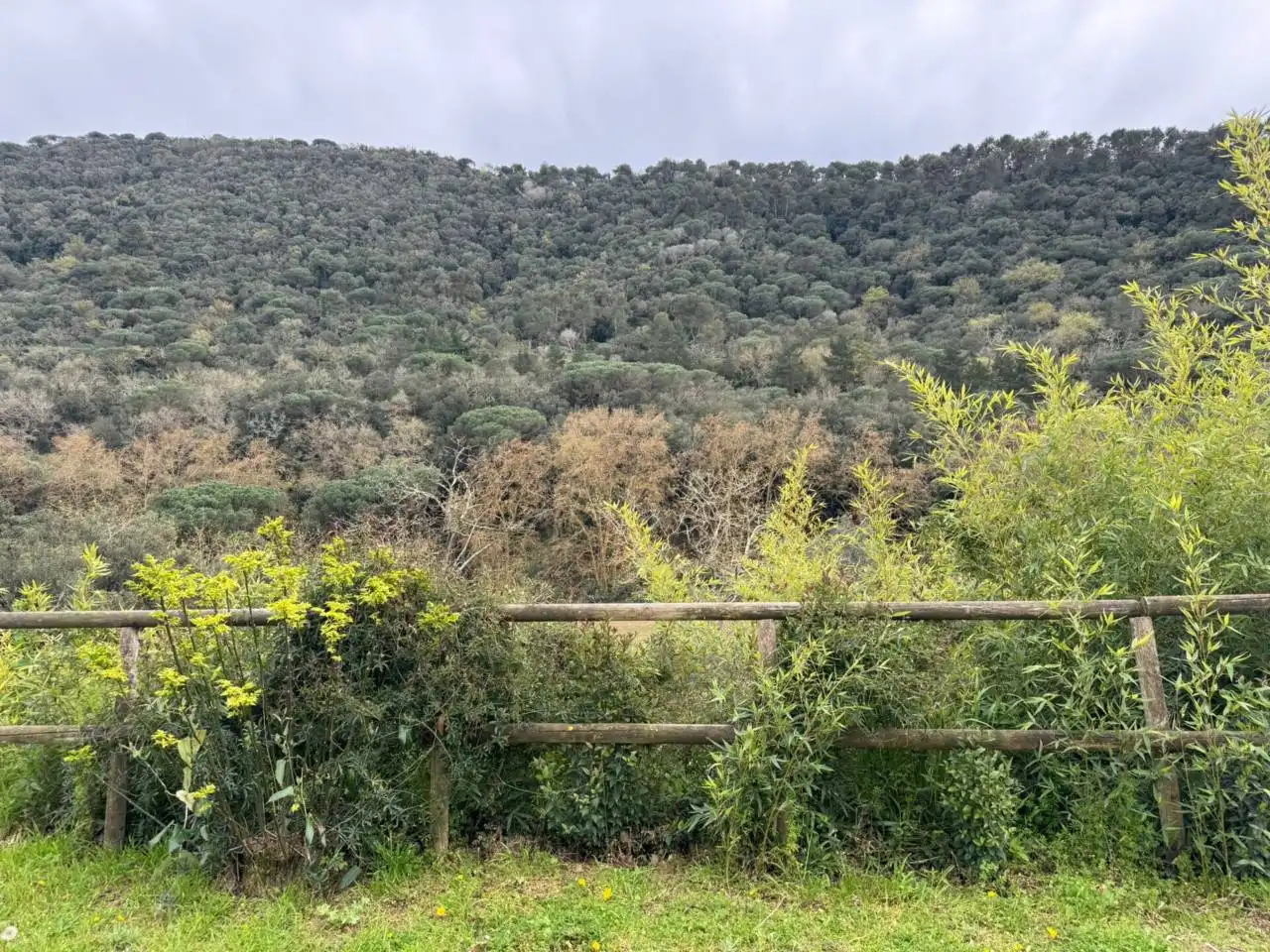 Residential land for sale in Vilanova del Vallès, imagen 3