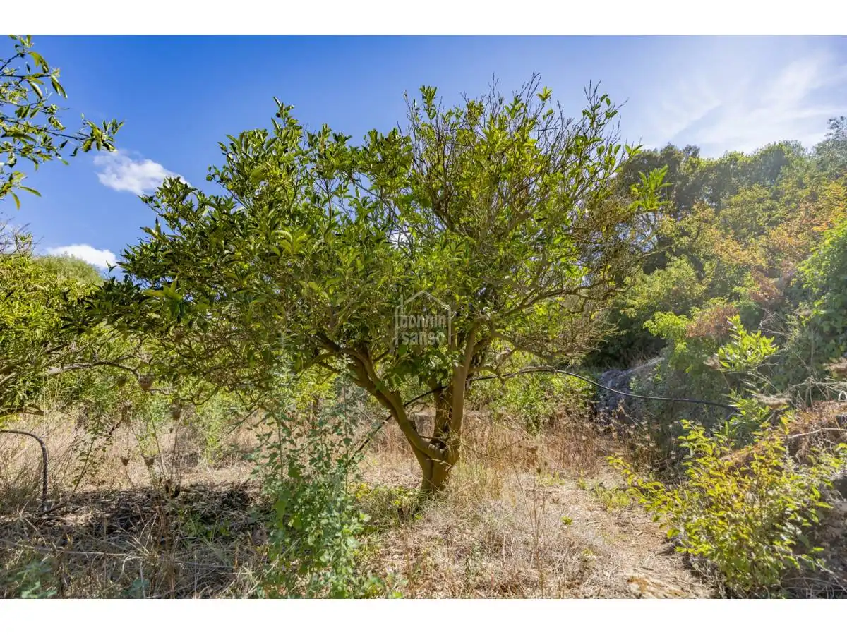 Maison rustique avec jardin à vendre à Alaior poble, imagen 28