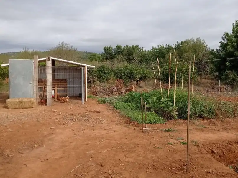 Maison rustique à vendre à Avinguda de la Llibertat 1, imagen 7
