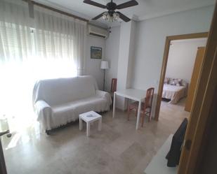 Sala d'estar de Apartament de lloguer en Ciudad Real Capital amb Aire condicionat