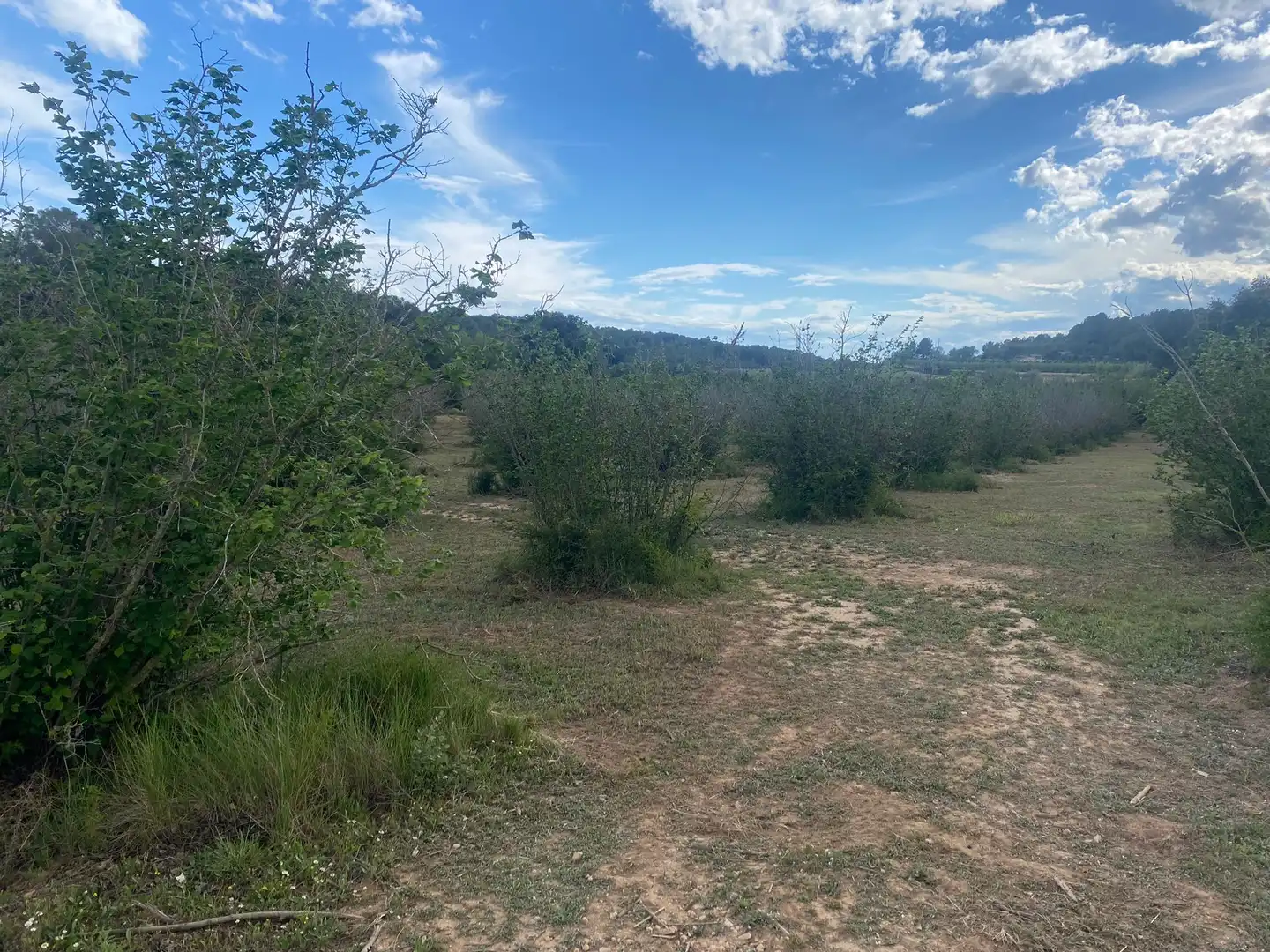 Terreno rustico in vendita a Perafort, imagen 5