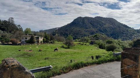 Foto 4 de Finca rústica en venda a Travesía de Panes, 212, Peñamellera Baja, Asturias