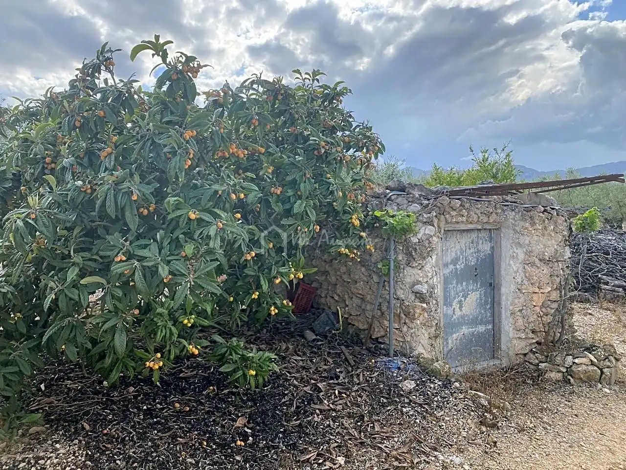 Casa rustica in vendita a Burgà, imagen 10