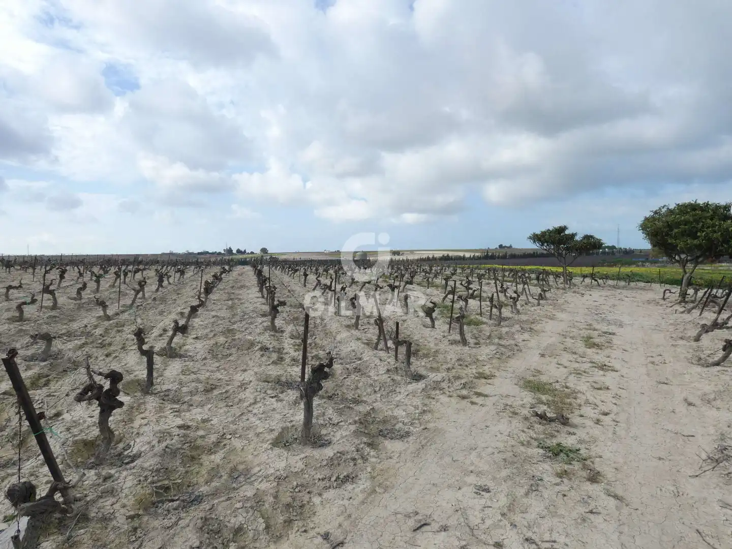 Rustikales Grundstück zum Verkauf in Ctra Jerez - Ctra del Puerto, imagen 11