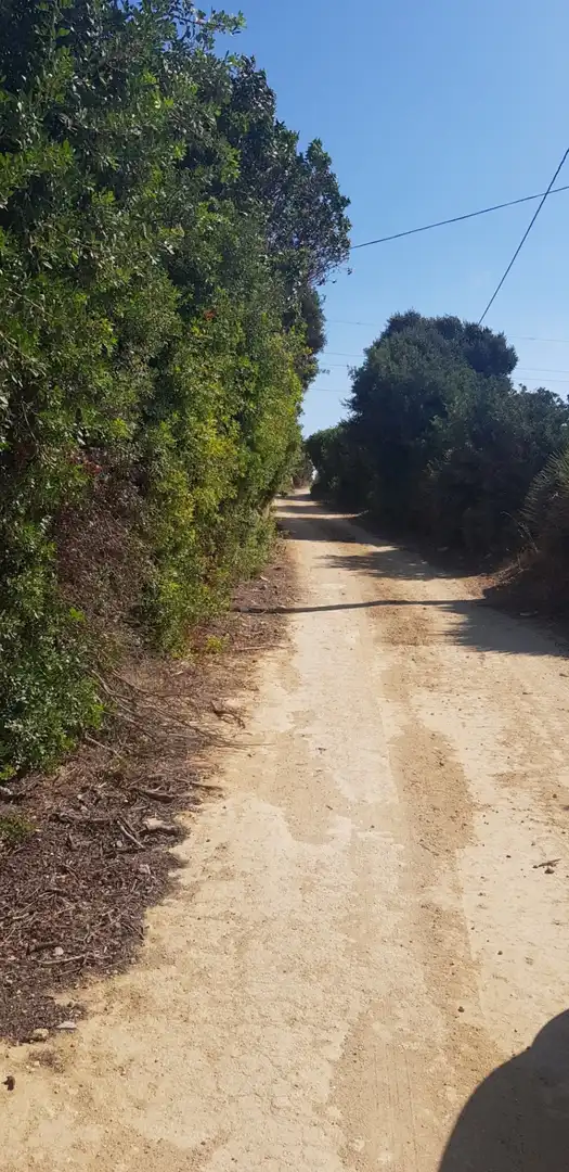 Terreny rústic en venda a Vejer, imagen 10