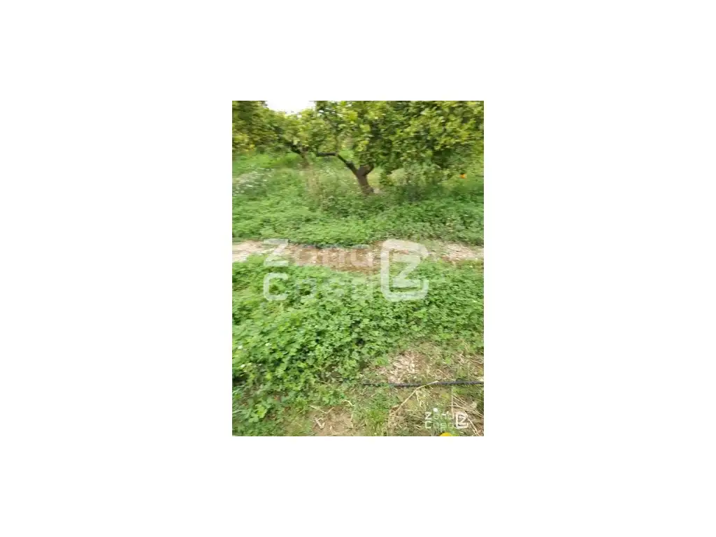 Country house for sale in Algemesí