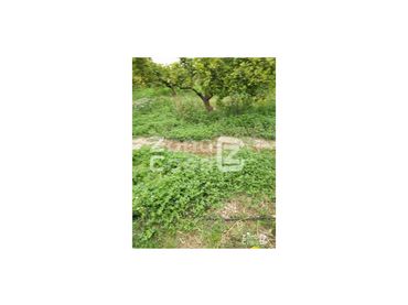 Country house for sale in Algemesí