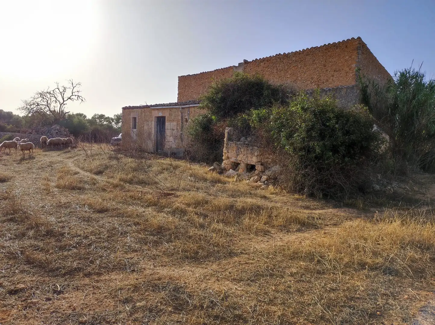 Maison rustique à vendre à Felanitx Poble, imagen 2