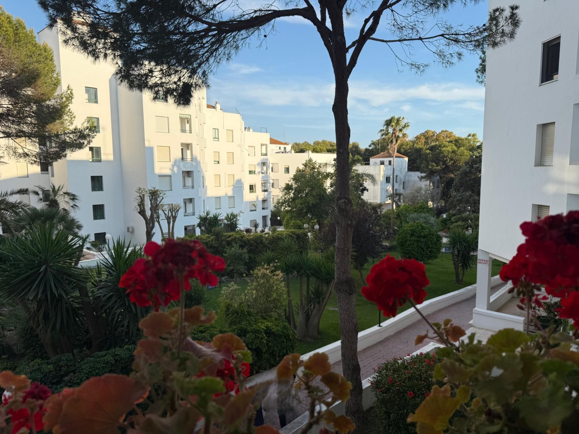 Exterior view of Flat for sale in El Puerto de Santa María  with Private garden, Terrace and Community pool