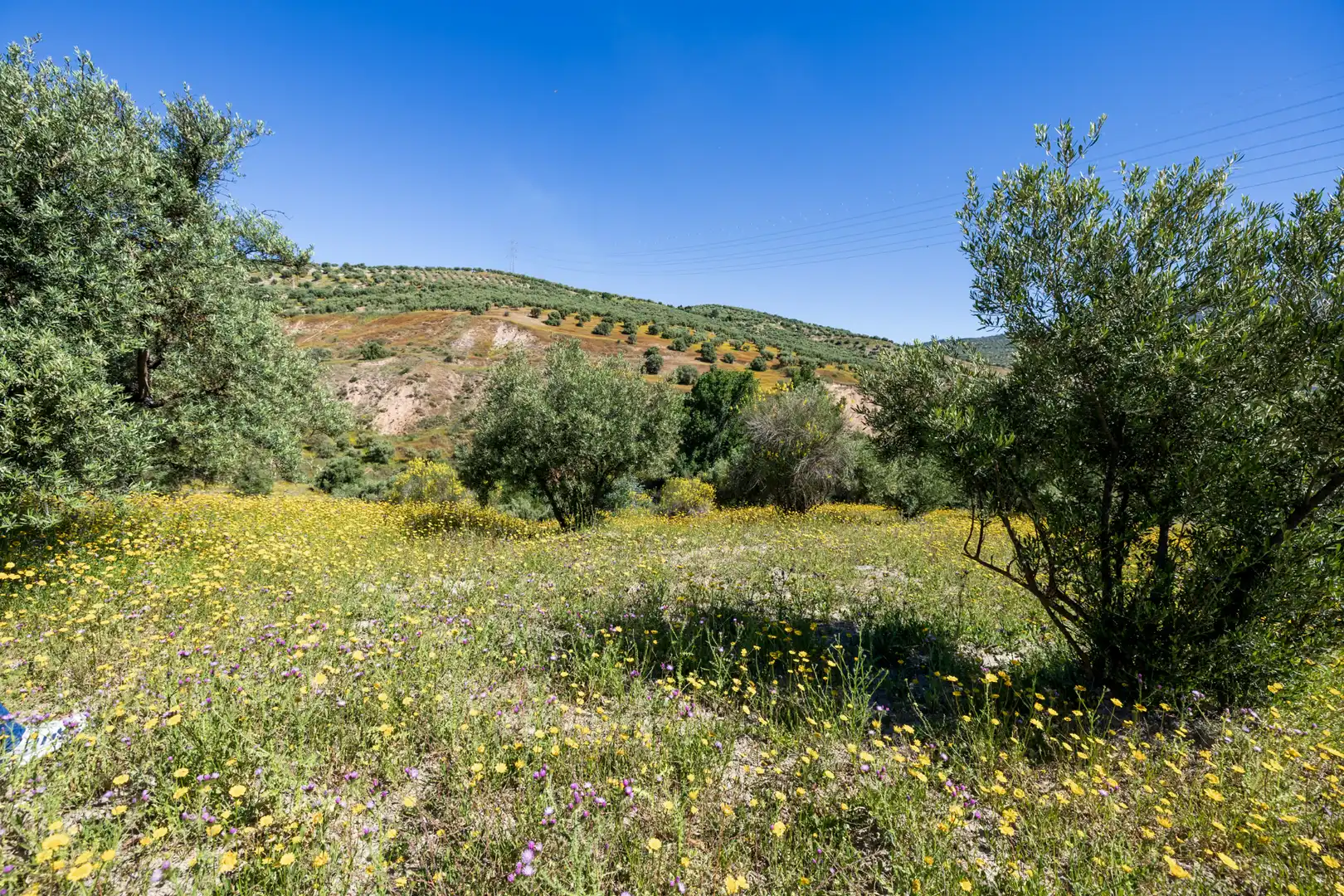 Rustikales Grundstück zum Verkauf in Paraje del molino 2, imagen 16