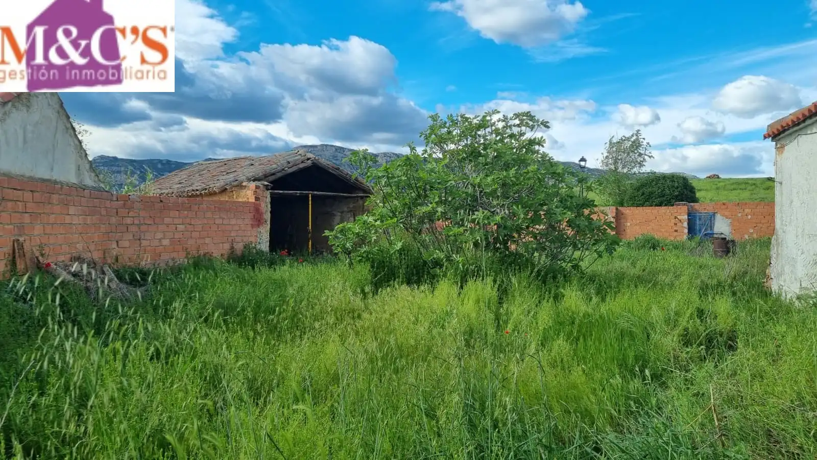 Casa o xalet en venda en Villanueva de San Carlos amb Jardí privat i Moblat