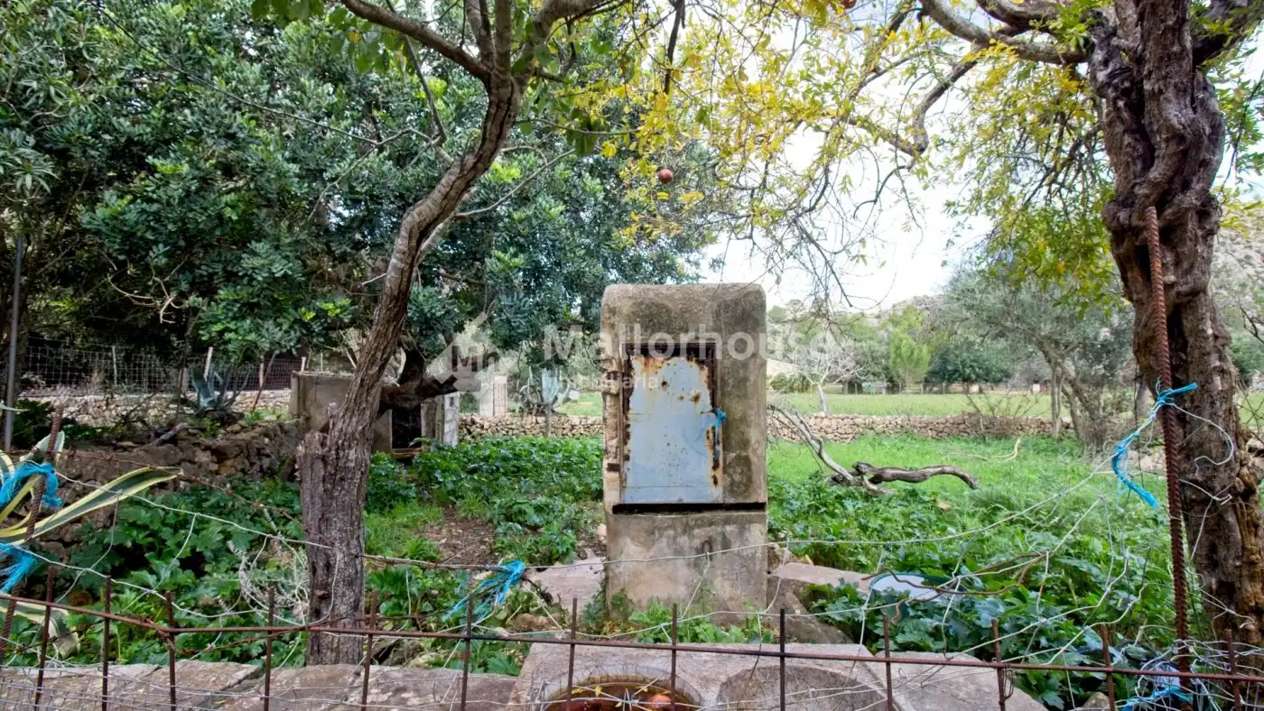 Detached house with garden for sale in Camino SIN NOMBRE, imagen 24