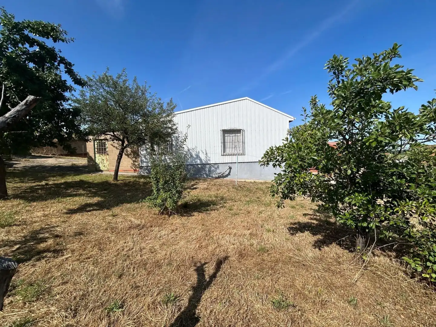 Finca rústica en venta en Benavides