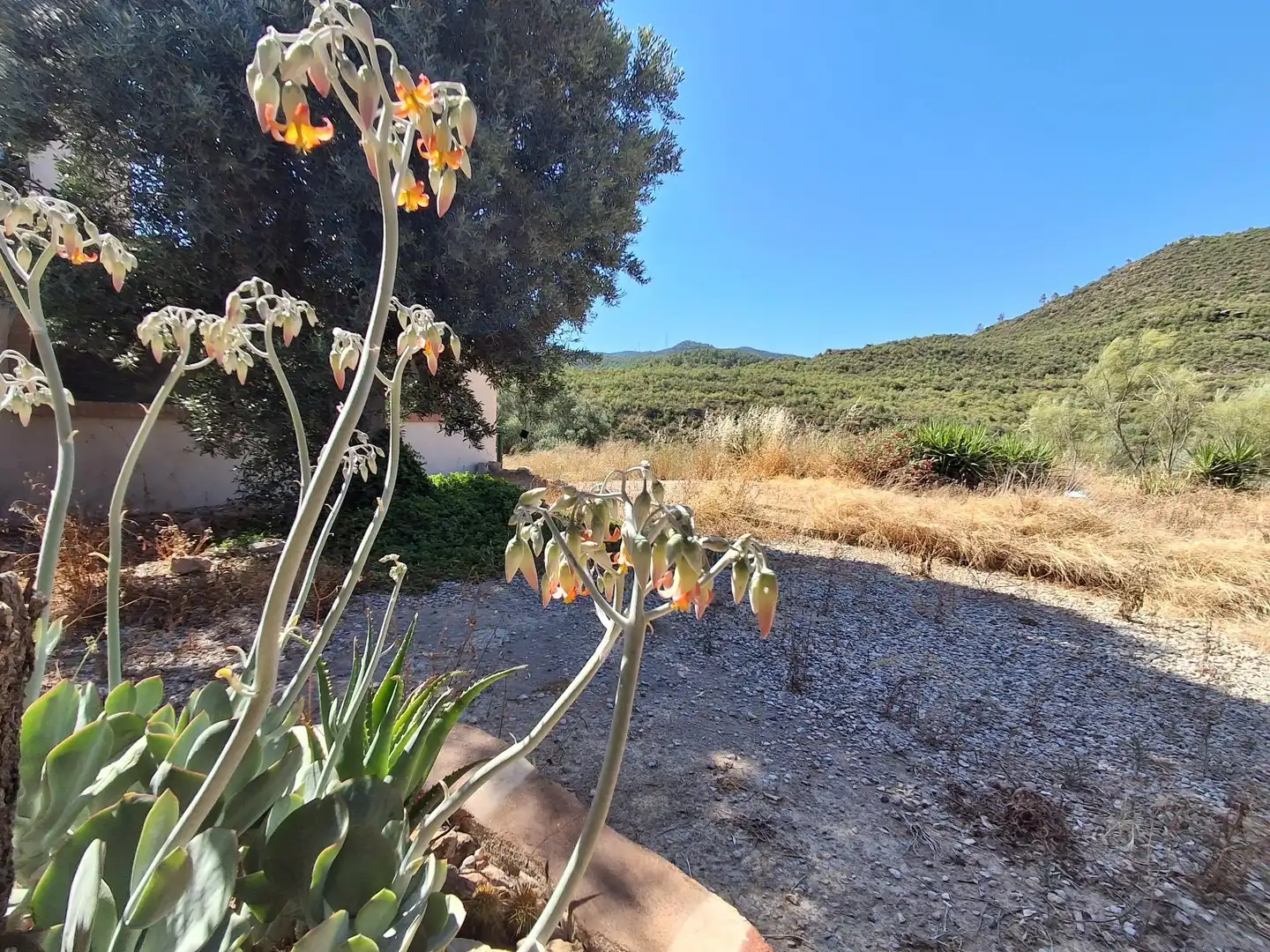 Finca rústica en venda en Riba-roja d'Ebre
