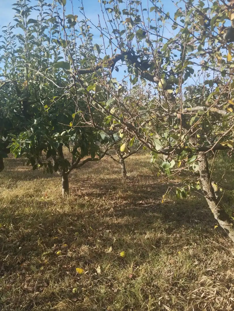 Terreni e lotti in vendita a La Portalada - Varea, imagen 8