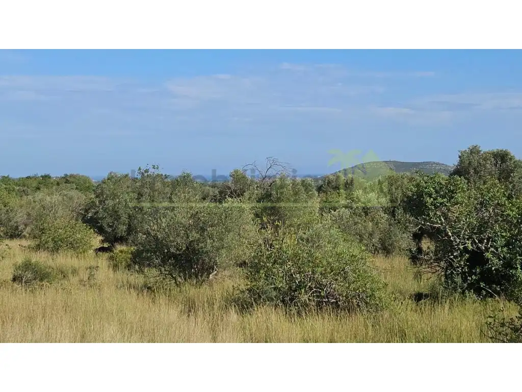 Terreny residencial en venda a Càlig, imagen 15
