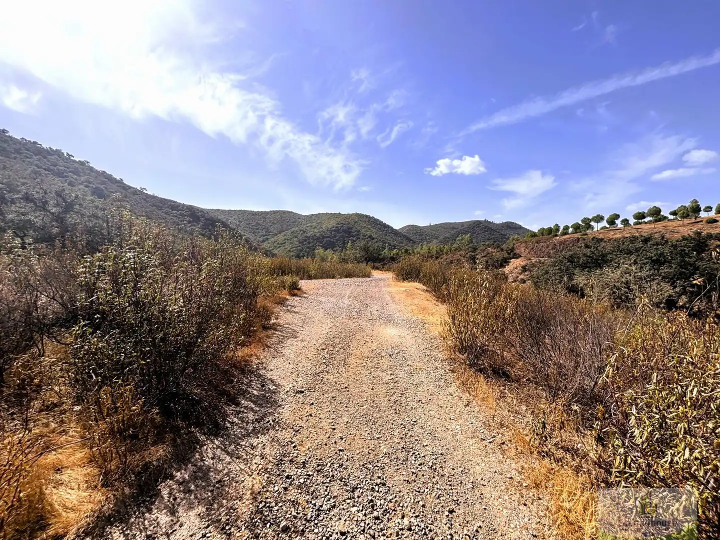 Vista exterior de Finca rústica en venta en Berrocal