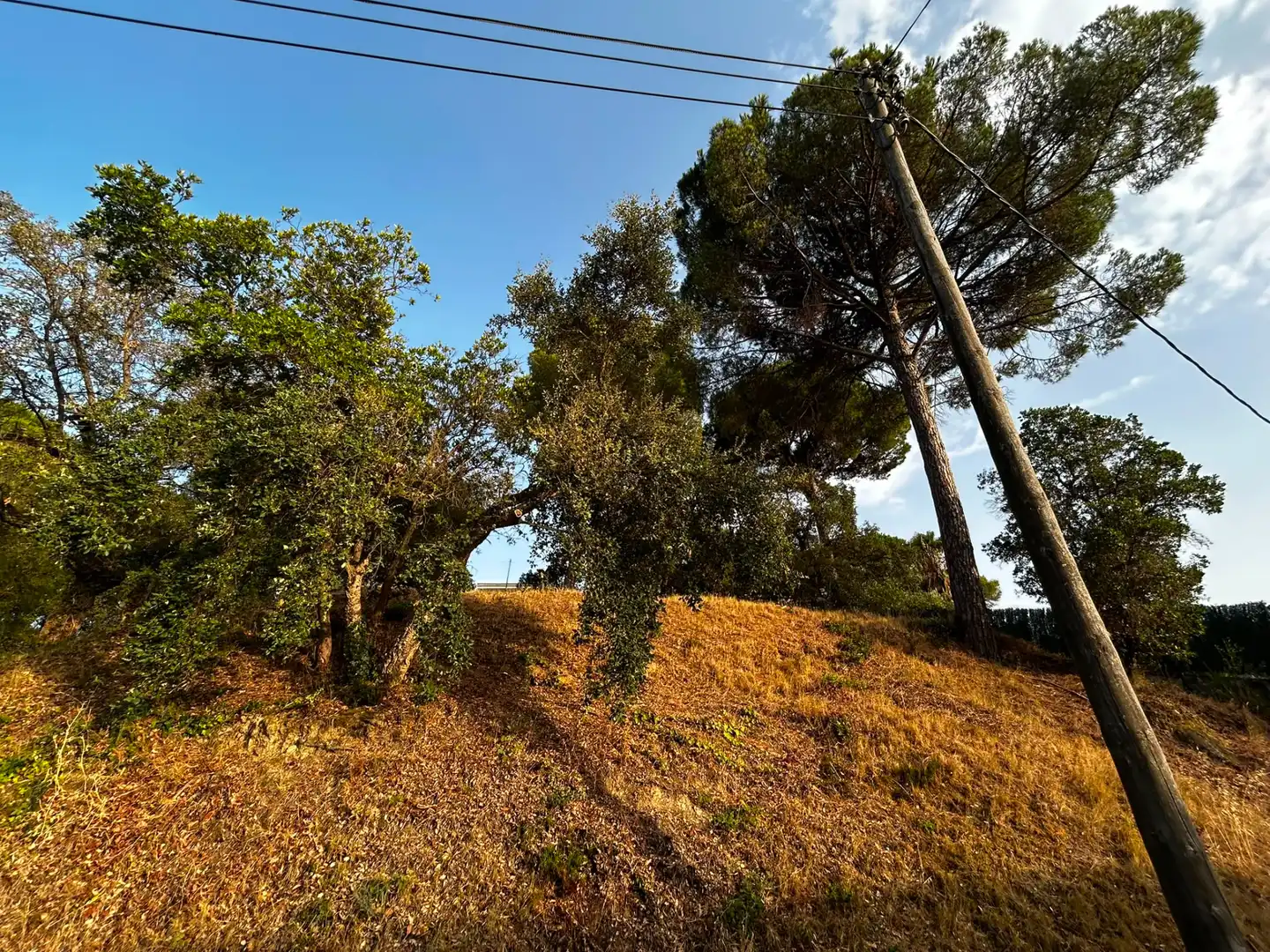 Terreno residencial en venta en Mas Mora - Sant Daniel, imagen 5
