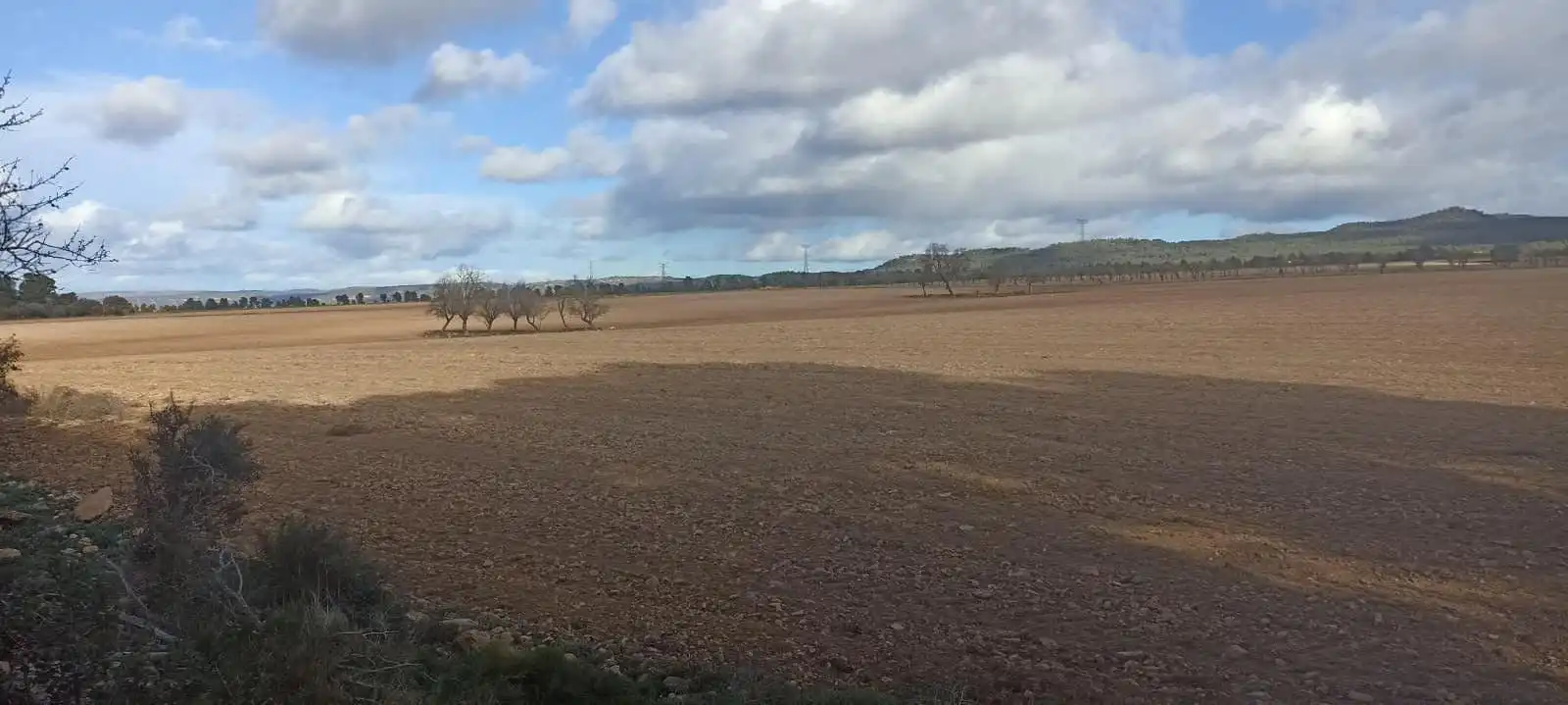 Terreny rústic en venda a Ayora, imagen 16